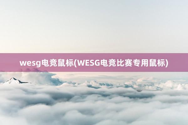 wesg电竞鼠标(WESG电竞比赛专用鼠标)