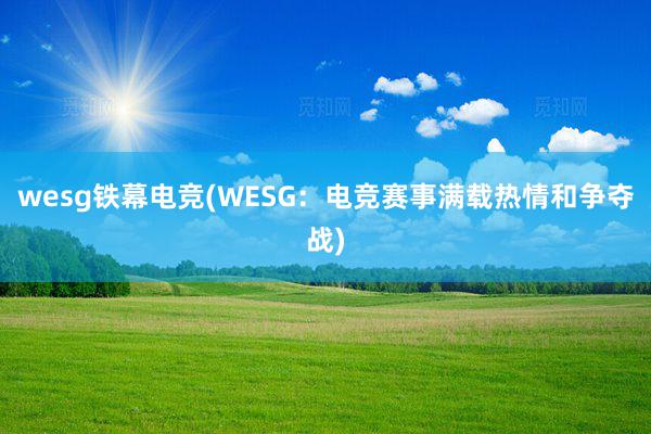 wesg铁幕电竞(WESG：电竞赛事满载热情和争夺战)