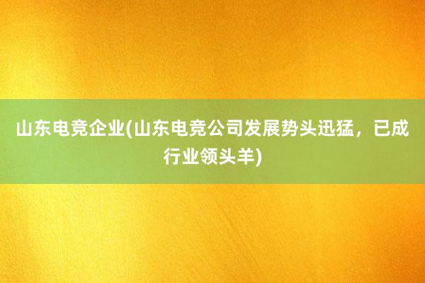 山东电竞企业(山东电竞公司发展势头迅猛，已成行业领头羊)