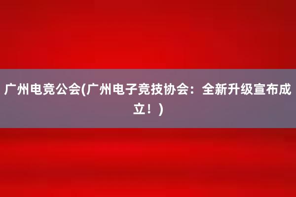 广州电竞公会(广州电子竞技协会：全新升级宣布成立！)