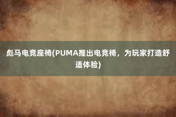 彪马电竞座椅(PUMA推出电竞椅，为玩家打造舒适体验)