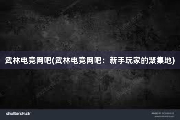 武林电竞网吧(武林电竞网吧：新手玩家的聚集地)