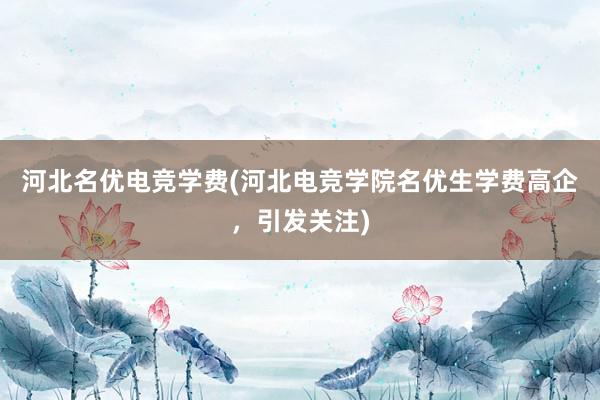 河北名优电竞学费(河北电竞学院名优生学费高企，引发关注)