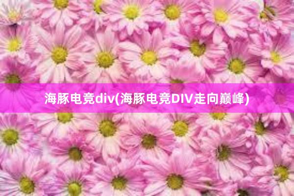 海豚电竞div(海豚电竞DIV走向巅峰)