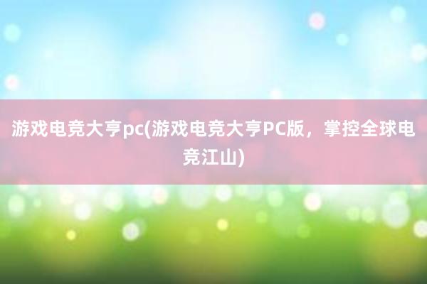 游戏电竞大亨pc(游戏电竞大亨PC版，掌控全球电竞江山)