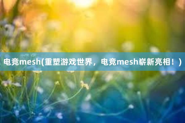 电竞mesh(重塑游戏世界，电竞mesh崭新亮相！)