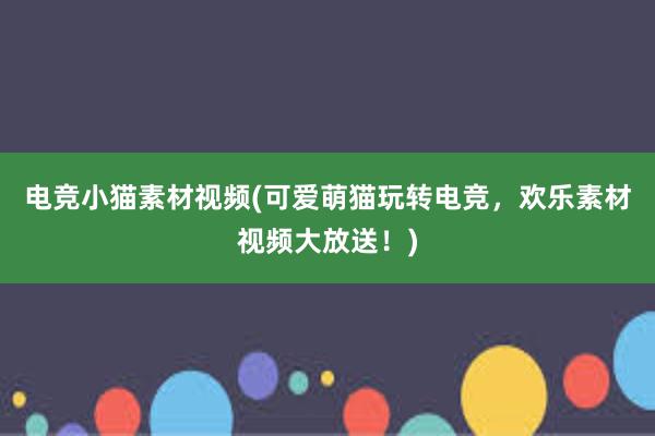 电竞小猫素材视频(可爱萌猫玩转电竞，欢乐素材视频大放送！)