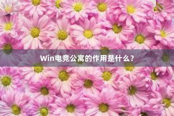 Win电竞公寓的作用是什么？