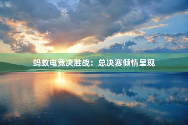 蚂蚁电竞决胜战：总决赛倾情呈现