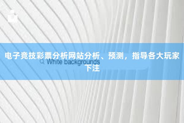 电子竞技彩票分析网站分析、预测，指导各大玩家下注