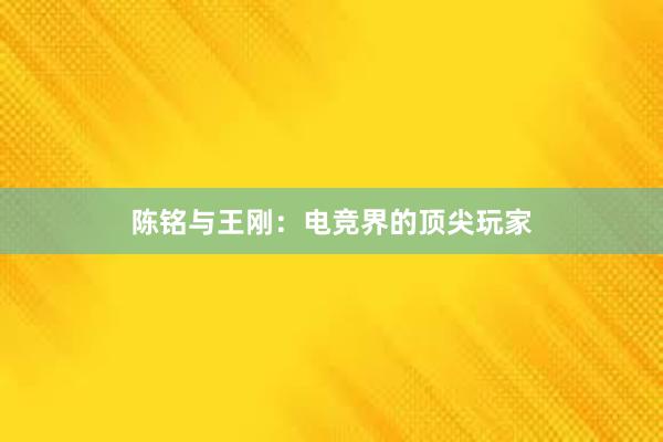 陈铭与王刚：电竞界的顶尖玩家